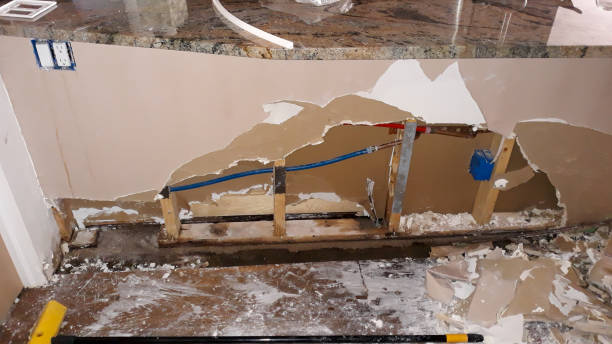 Best Ceiling water damage repair  in Gouldtown, NJ