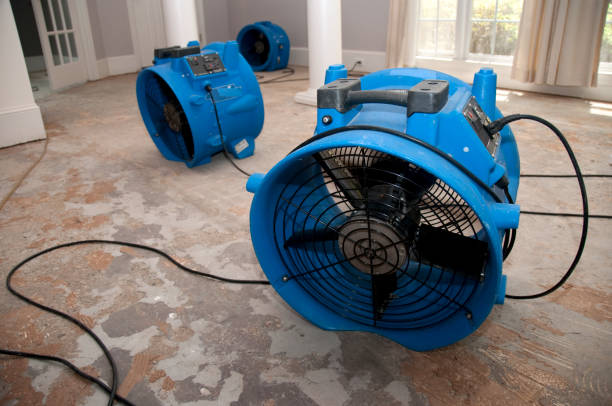 Best Professional water damage repair  in Gouldtown, NJ