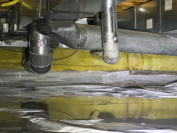 Best Professional water damage repair  in Gouldtown, NJ