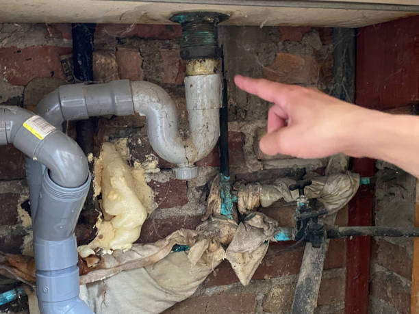 Best Water damage contractors near me  in Gouldtown, NJ